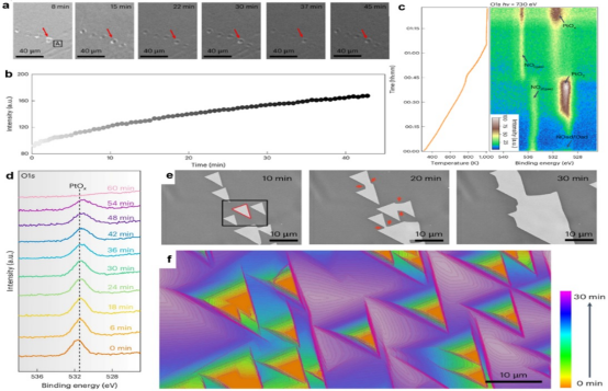 【技术分享】原位扫描电镜技术在催化与新能源电池研究中的应用<br/>